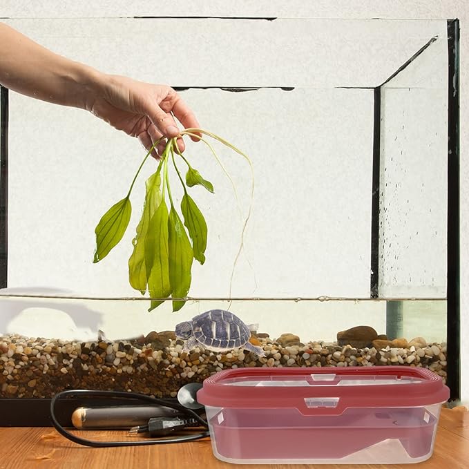 POPETPOP Plastic Tortoise Tank Terrace for Turtle Spacious Home Aquarium for Large Turtles Plastic Material Non- Ramp for Easy Climbing for Healthy