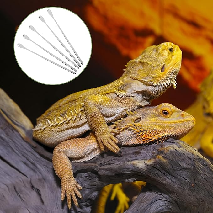 5pcs Reptile Food Spoon for Lizards Small Pet Feeding Tool Long Handle