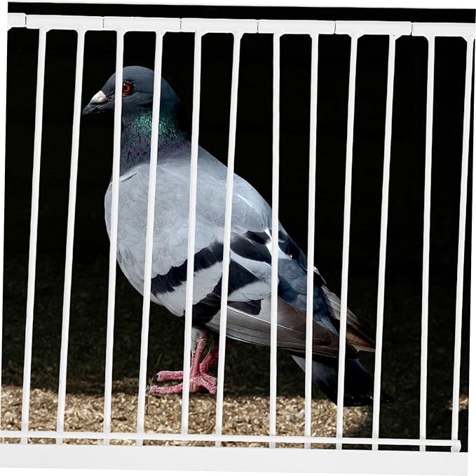 POPETPOP Iron Pigeon Entrance Door for Bird Cage Loft Racing Pigeon Safe Access Breeding Carrier Cage Replacement