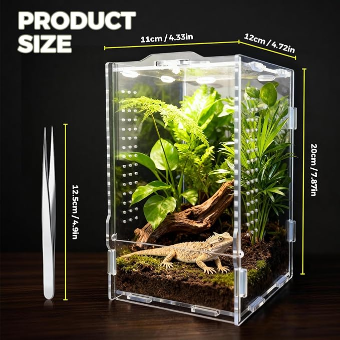 Acrylic Spider Enclosures, Insect Breeding Boxes, Insect Enclosures, Scorpion Habitats, Small Lizard and Frog Enclosures