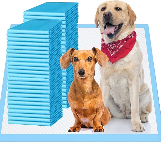 Upgrade Leak-Proof Pet Training and Puppy Pads, Jumbo Pee Pads for Dogs with Thicken Polymer Heavy Absorbency, Quick Dry Disposable Pee Pads for Cats Dogs
