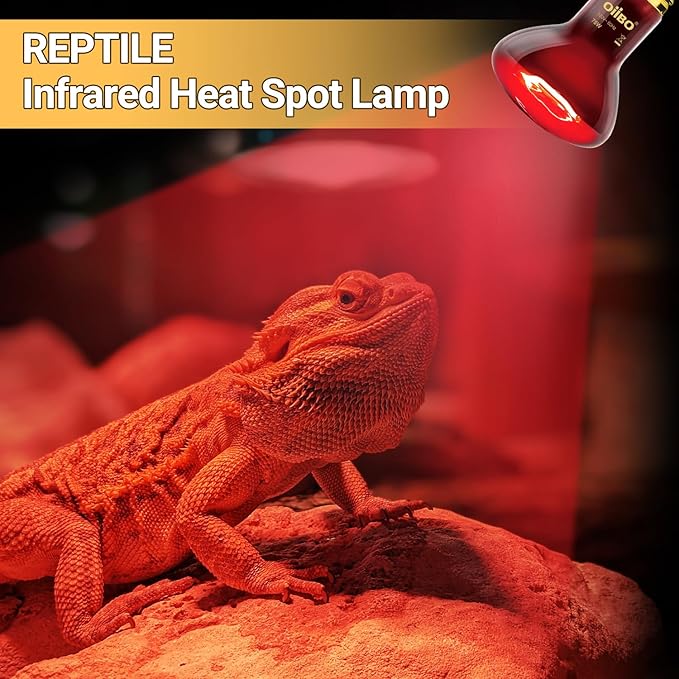 Oiibo Reptile Heat Lamp Blub, 2Pack 75W Day & Night Reptile Heat Lamp,UVA Daylight Heat Basking Bulbs Infrared Heats Light Bulb for Reptiles Bearded Dragon Lizard Turtle