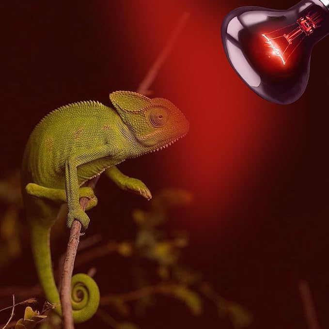 HARTOMPET 100W UVA Infrared Heat Lamp – Red Basking Spot for Lizards & Chicks, Perfect for Tanks