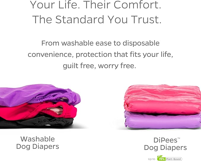 Pet Parents® Washable Dog Diapers (3pack) + Extendrs® of Durable Doggie Diapers, Premium Dog Diapers Female (Small, Southern Belle)