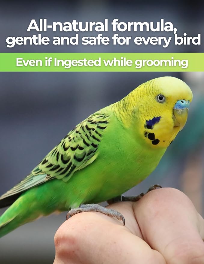 Dr. Orchard's Aloe Vera Bird Spray, Natural Bath Solution for All Birds, Itch Relief, Deep Hydration, Safe for Ingestion, Residue Free, 8.5 oz