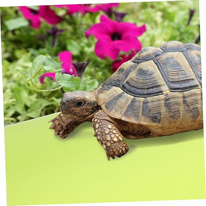 Reptile Carpet Substrate Mat for Tortoises Bearded Dragons Leopard Geckos Non Slip Easy to Clean Liner for Reptile Tanks Terrarium Bedding