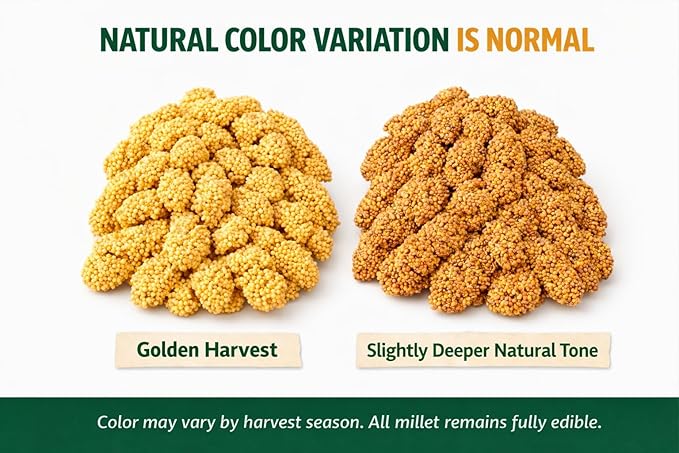 5lbs Wholesome Spray Millet for Birds – USA Grown, Harvested & Packed – 100% Natural Sun-Dried Millet Clusters – for Parakeets, Cockatiels, Conures, Budgies, Finches & All Parrots