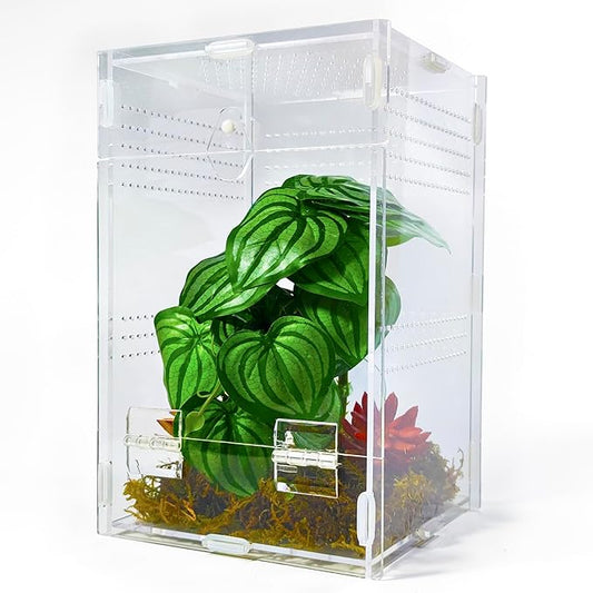 Jumping Spider Enclosure 6”x6”x10”, Arboreal Tarantula Enclosure, Praying Mantis Terrarium Critter Cage for Jumping Spider, Tarantula, Mantis, Snail, Isopods, Beetles, Millipedes