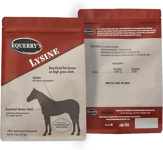 Equerry's Lysine Supplement for Horses | Lysine Powder Supplement for Muscle Support and Immune Health | Balances Forage-Based Diets | 5Ib Bag