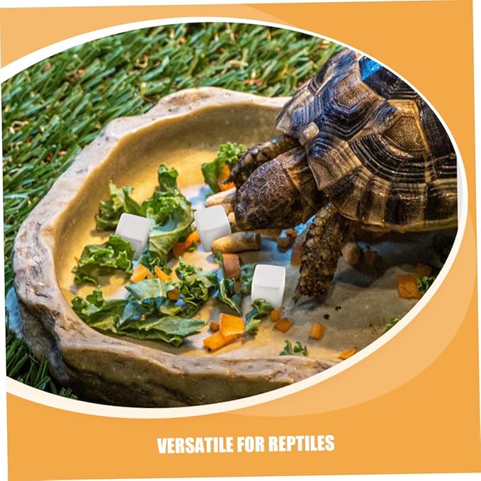 Toddmomy 30pcs Climbing Pet Calcium Block Amphibian Health Products Tortoise Lizard Chameleon Lizard Frog Chameleon Frog Reptiles Health Chameleon Reptiles Stone for Turtle