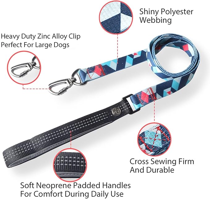 Everking Dog Leash and Collar Set with Metal Buckle, Suitable for Large Dogs Weighing 21-40kg,Memphis Geometric Pattern Design Style, Flexible Webbing, Nylon Handle, Adjustable (Iris, L)