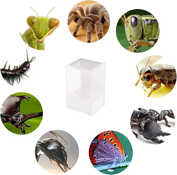 OMEM Reptile Breeding Box, Insect Incubator, for Orchid Mantis, African Phantom Mantis, Reptile Resting Habitat and Entertainment