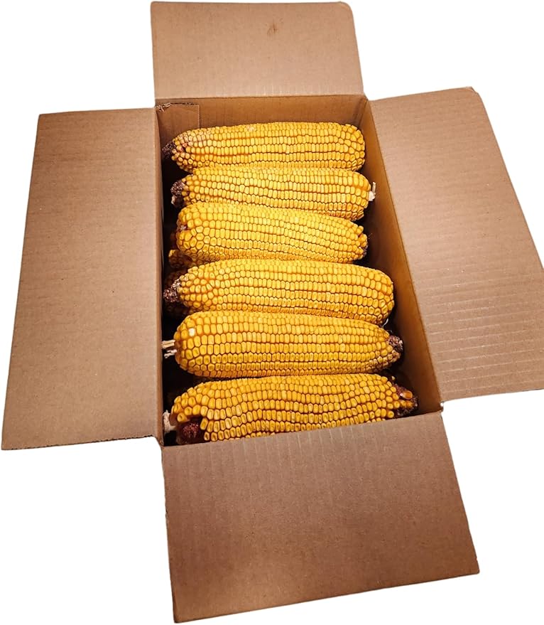 Wildlife Treats,Ear Corn Kernels, Hand Packed Boxes, Squirrel Food, 10 Pound (Pack of 1), Yellow