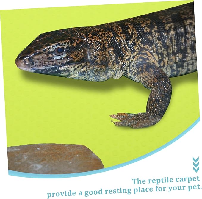Abaodam Bearded Dragon Tank Background Reptile Terrarium Carpet Snake and Turtle Tank Accessories Easy-Clean Eva Mat