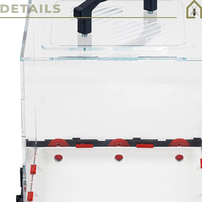 Anthouse.ES - 3D Modular Anthill Foraging Box - Model QBIK Nona Foraging Box - 18.78x18.78x16.70 cm - Ant Colonies - Terrarium