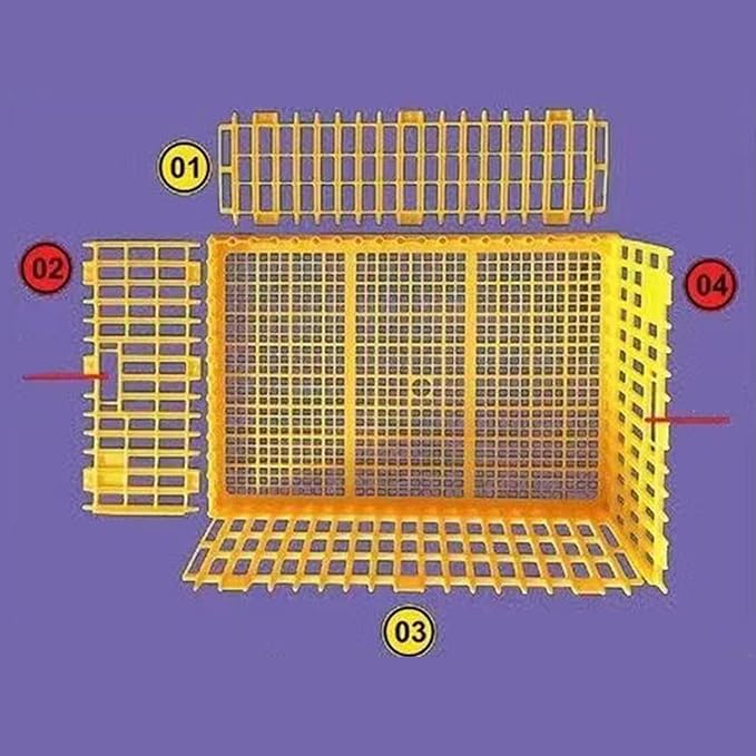 Chicken Carrier Box for Safe Transport of Hens and Pigeons, 75x55x19cm