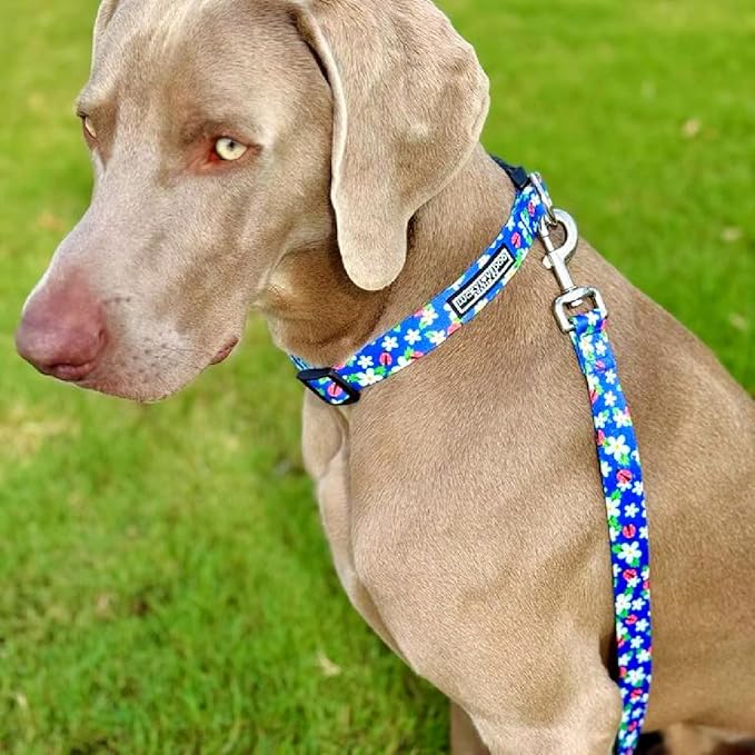 Lucky Love Dog - Easy Click Buckle Dog Collar with Leash Set Combo, Durable & Comfortable for Male & Female Dogs, Pet Collar for Small Dogs, Secure Fit - Lilian Combo, XS