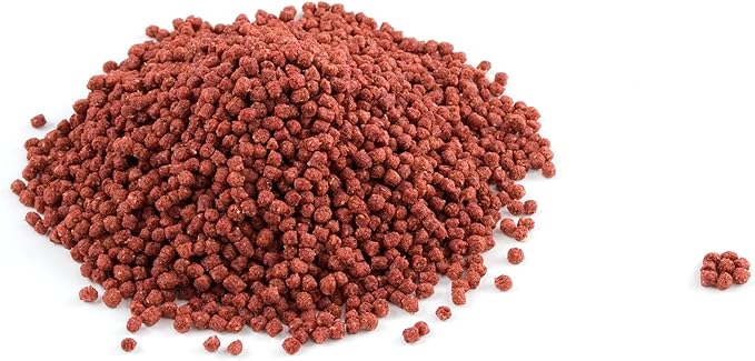 Mozaic Iguana Food | Food for Juvenile and Adult Iguanas | Small Red Pellet (1/8") | Complete Formulated Diet (14 Ounce (Pack of 1))