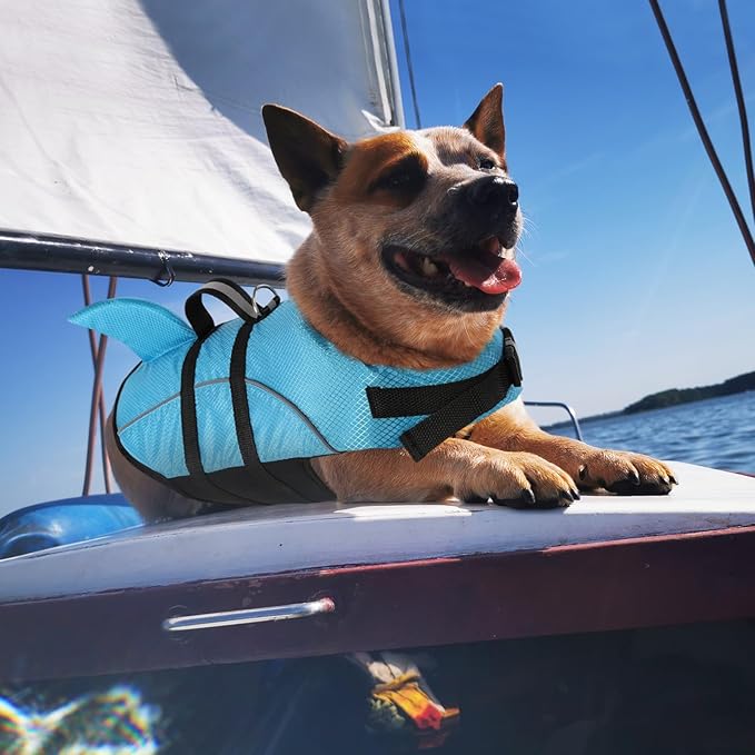 Queenmore Small Dog Life Jacket,Shark Dog Life Vest for Swimming,Puppy Light Life Preserver for Boating Kayaking Canoeing,Pet Lifesaver with High Buoyancy,Rescue Handle,Leash Hook (Peacock Blue,S)
