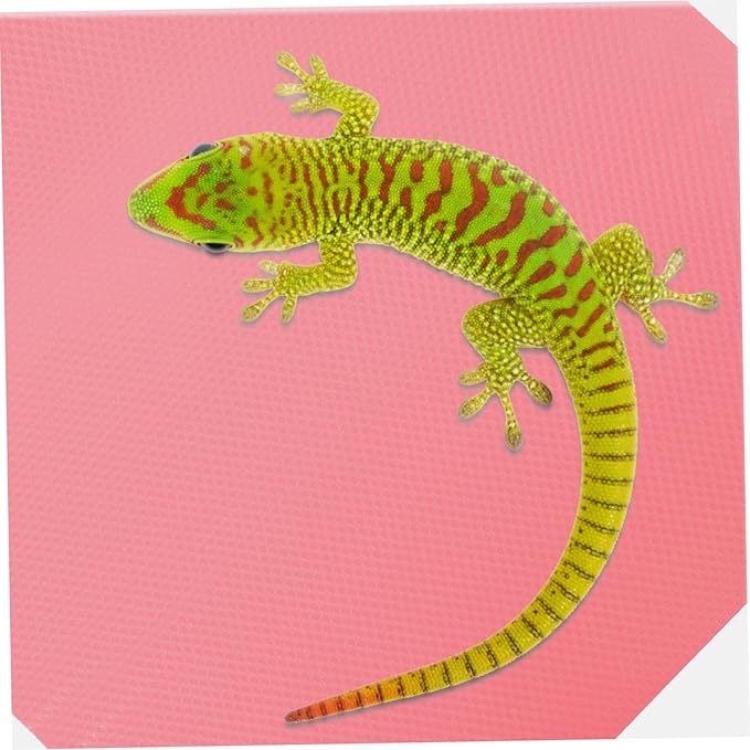 KESYOO Reptile Carpet Substrate for Leopard Gecko Lizard Snake and Tortoise Non-Slip Terrarium Liner Bedding for Reptile Tank Accessories 1-Piece Mat
