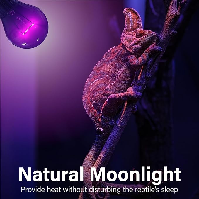 Lustaled Reptile Heat Lamp Bulbs-100W Reptile Night Heat Bulb E26 Terrarium Heat Lamp Simulate Natural Moon Purple Light for Snake Bearded Dragon Leopard Gecko Lizard Chameleon Tortoise -2Pack
