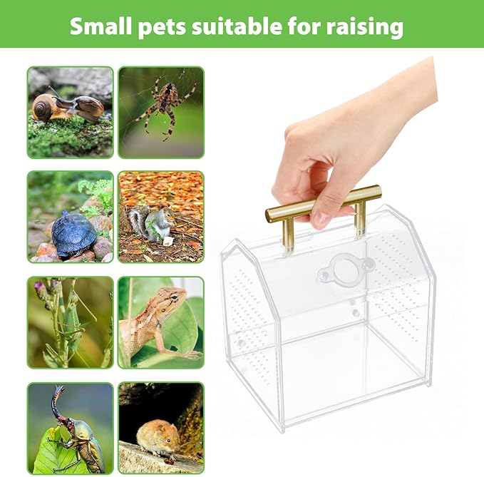Jumping Spider Enclosure, Large Insect Terrarium, Praying Mantis Habitat, Large Insect Terrarium,Reptile Enclosure,Spider Habitat Caterpillar Habitat (5.5‘’x4.7''x6.5'')