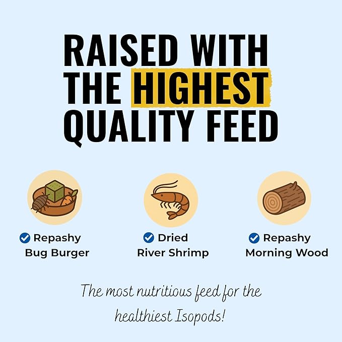 Creation Cultivated 12+ Oreo Crumbles Isopods Live - Live Bugs for Bioactive Terrarium, Vivarium Clean-up Crews, and Reptile Food - Easy-Care Isopods for Terrarium