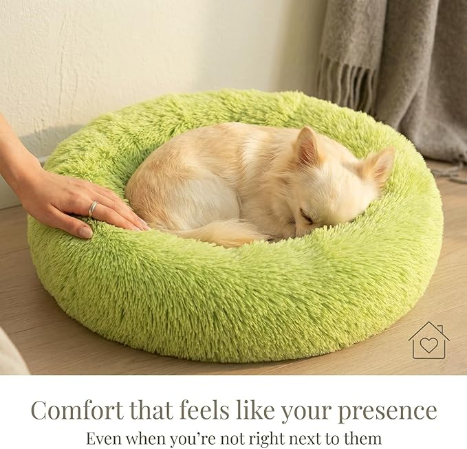 Calming Donut Dogs Beds for Small Dogs Washable,19inch Fluffy Round Puppy Bed for Puppies,Cats & Toy Breeds with Raised Rim,Fits up to 15 lbs Pets,Green