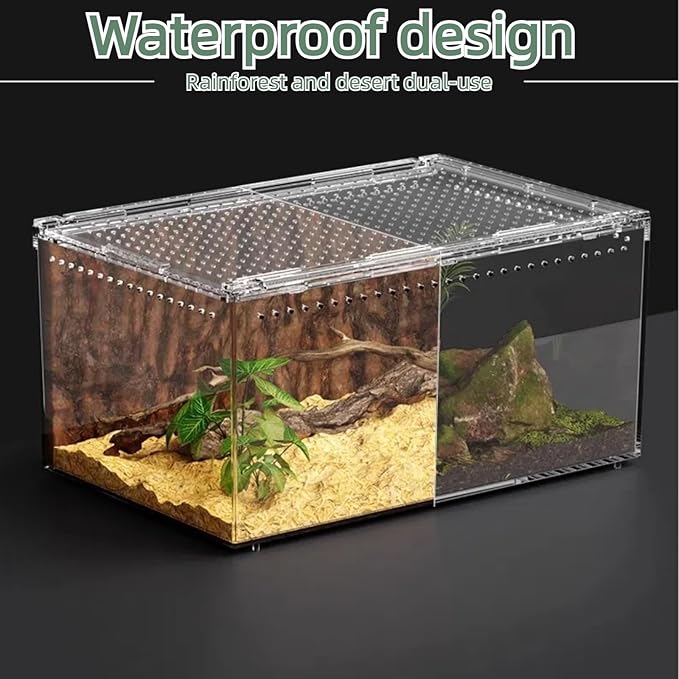 12x8x6 Inch Terrarium with Magnetic Top Sliding Lid, Clear View Critter Keeper & Spider Enclosure, Jumping Spider/Tarantula Habitat, Hermit Crab Tank, Tadpole to Frog Kit
