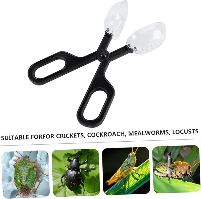 POPETPOP 6pcs Reptile Feeding Clip Flexible Cleaning Tool for Insect Feeding for Crickets and Locusts Comfortable Scissors Handle for and Breeding