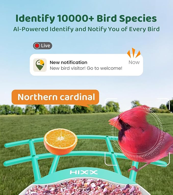 HIXX Smart Bird Feeder with Camera, AI Identify Birds & Auto Capture, 2K HD Live Camera Birdwatching with Color Night Vision for Bird Lovers Gifts (Pea Green)