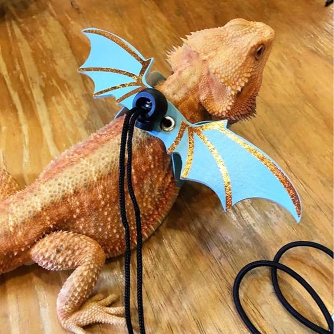 3 Size Pack Bearded Dragon Leashes and Harnesses, Bearded Dragon Harness, Soft Leather Detachable Adjustable Reptile Lizard Wing Leash (Blue)