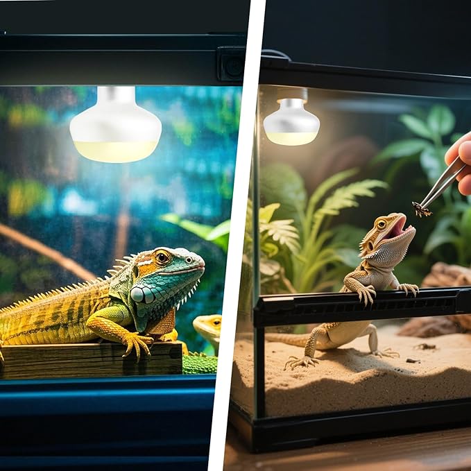Reptile Heat Lamp Bulbs, 2-Packs 75W 3000H Heat Bulb with E26 Socket, UVA Basking Light for Bearded Dragons/Lizards/Turtles/Geckos/Snakes/Chameleons with Natural Sunlight Simulation