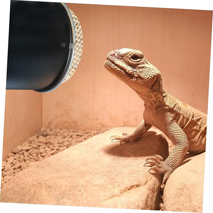 Garneck Heating Lamp Protective Cover Reptile Box Light Cover Mesh for Heat Dissipation