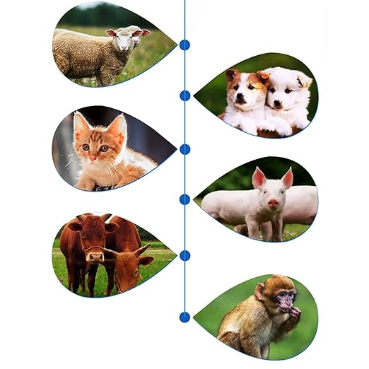 Cat Temperature Meter | Digital Pet Thermograph,Gauge Instant Portable Thermograph for Cattle Indoor Pigs Horse Cats Livestocks Health Dogs