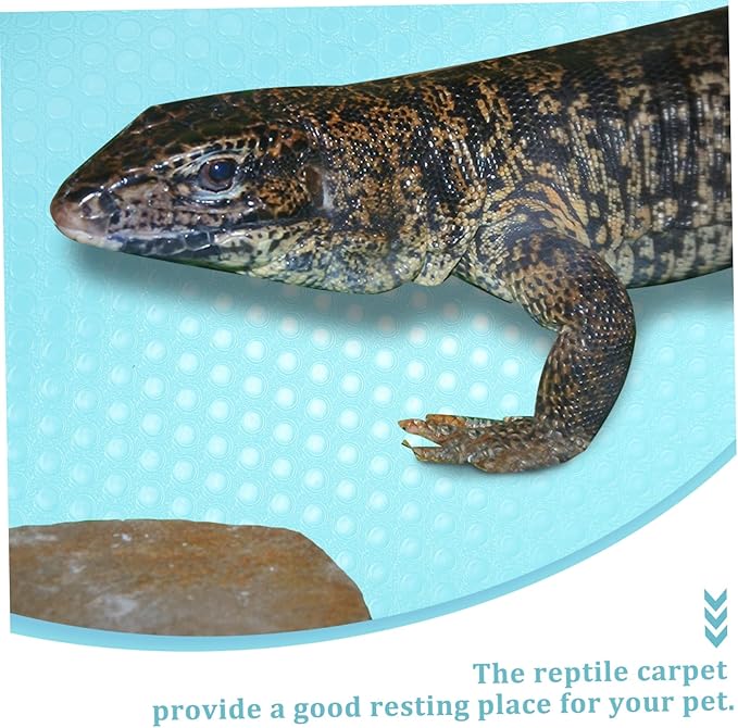 Toddmomy 200m Reptile Carpet Substrate for Terrarium Nonslip Liner for Bearded Dragon Leopard Snake Tortoise Material Safe Bedding