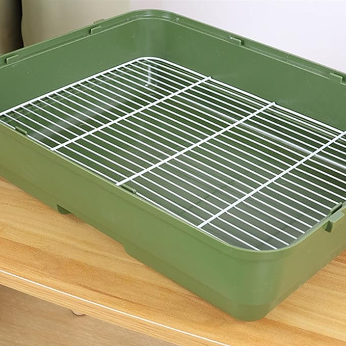 Bird Travel Carrier Box – Standing Perch Transparent Window, Sleek, Cage Parakeet Canary Cockatiel, Conure Bearded Dragon | Parakeet Canary Cockatiel Conure Bearded Dragon Sturdy Ergonomic