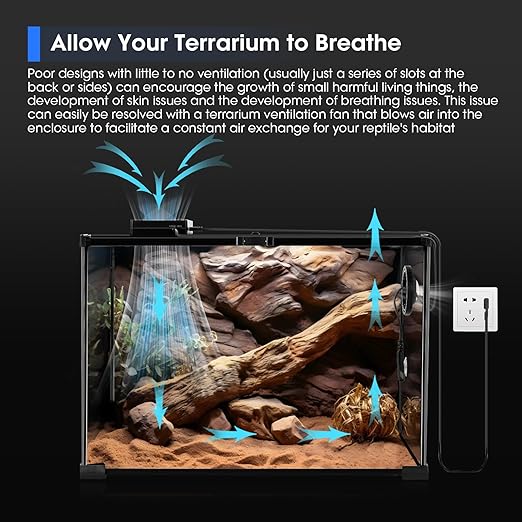 5.5 Inch Reptile Deep Dome Light Fixture with Reptile Terrarium Thermometer Hygrometer