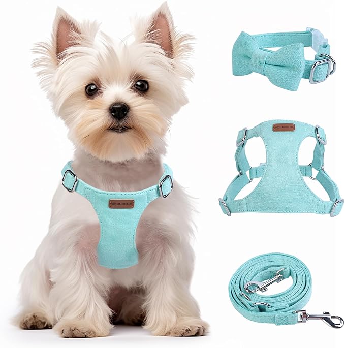 Dog Harness and Leash Set, XXS No Pull Adjustable Puppy Harness with Multifunction Pink Dog Leash and Dog Collar, Soft No Choke Escape Proof Pet Harness Vest for Small Dogs and Cats (Mint Green, XXS)
