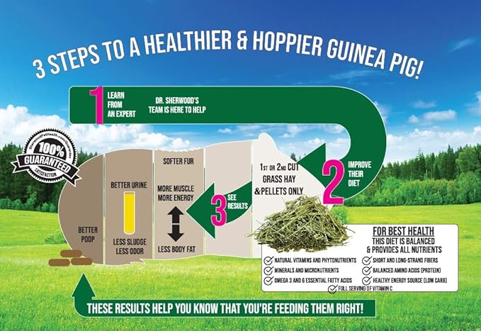 Sherwood Pet Health Adult Guinea Pig Food Measured Timothy Pellet (4.5 Pound) Hay-Based, Grain-Free, Soy-Free for Better Digestion