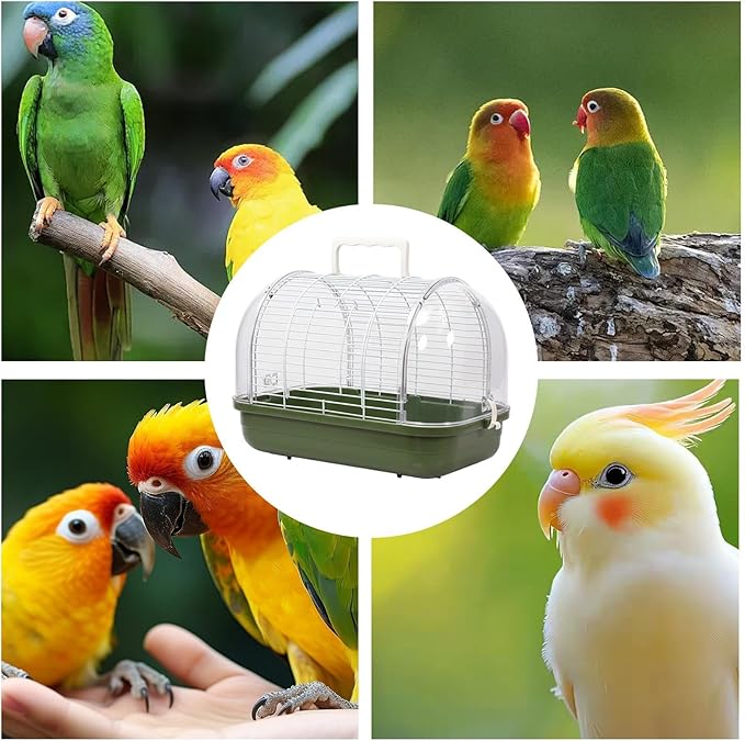 Bird Carrier, Compact Travel Cage, Standing Perch with Clear Window, Portable Travel Bird Cage for Parakeets, Cockatiels, Bearded Dragons, Safe Transport, Outdoor Trips or Veterinary Visits