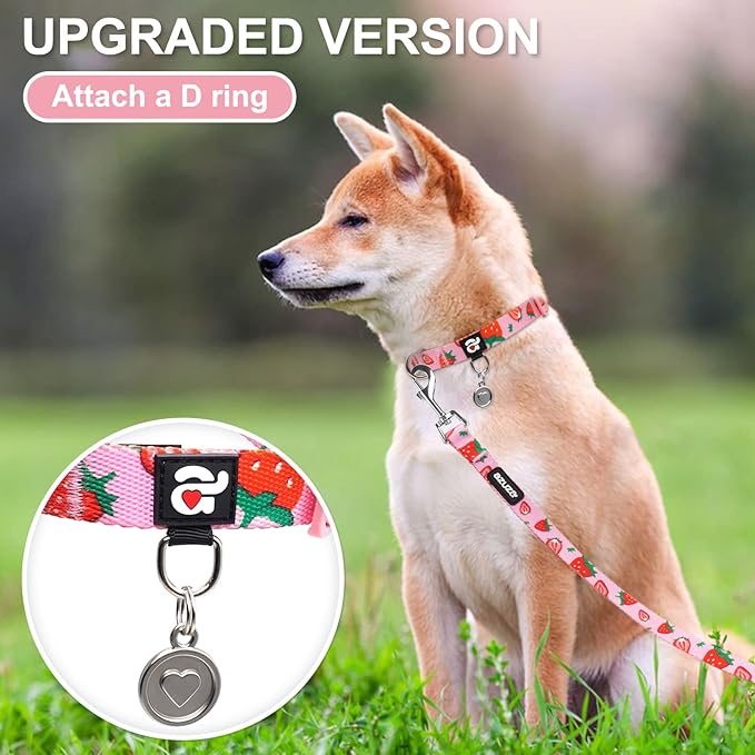 azuza Fruit Dog Collar and Leash Set, Collar Nylon and Matching Leash, Great Option for Large Dogs, Strawberry, L (Neck: 18"-26")