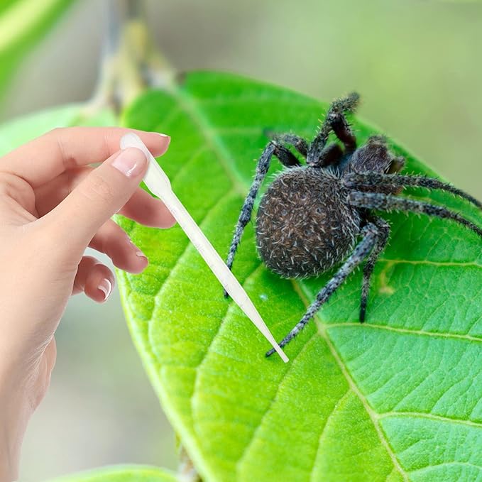 POPETPOP 6pcs Reptile Feeding Tweezers Plastic Tool for Lizard Spider Scorpion and Other Reptiles for Feeding