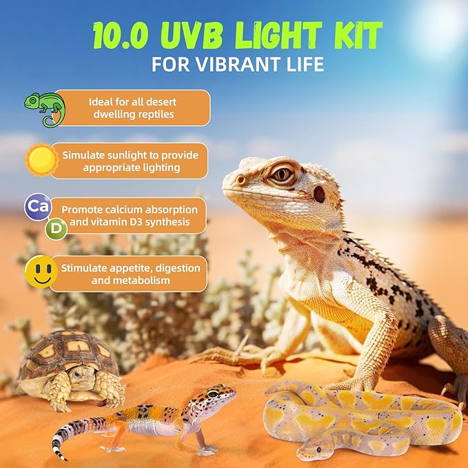 GlowUp 24W 10.0 T5 UVB Reptile Light Fixture Combo Kit 22inch Reptile Lamp Terrarium Hood 10.0 UVB Light for Bearded Dragon Reptiles Tropical Desert-Dwelling Lizards and Tortoises