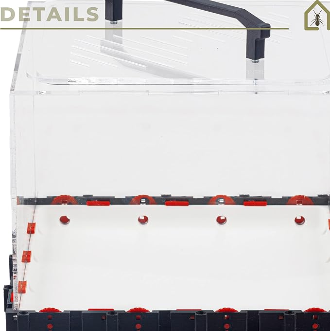 Anthouse.ES - 3D Modular Anthill Foraging Box - QBIK Mega Foraging Box Model - 24.78x24.78x16.70 cm - Ant Colonies - Terrarium