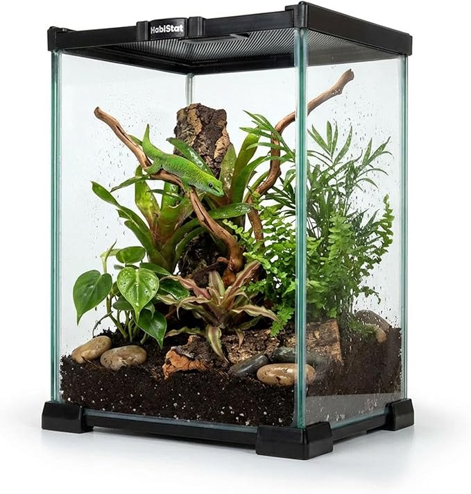 Habistat Glass 8"x8"x12" Terrarium