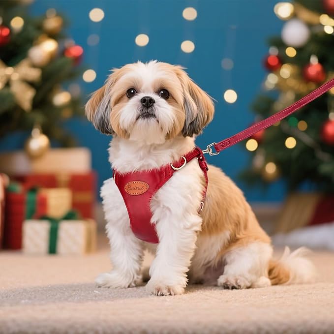 Beirui ‌Stylish PU Leather Dog Harness‌ and Leash Set for Small Dogs, ‌Adjustable Step in Puppy Harness with Breathable Mesh Lining and Durable Metal Buckle for Walking Traveling(Red,XS)