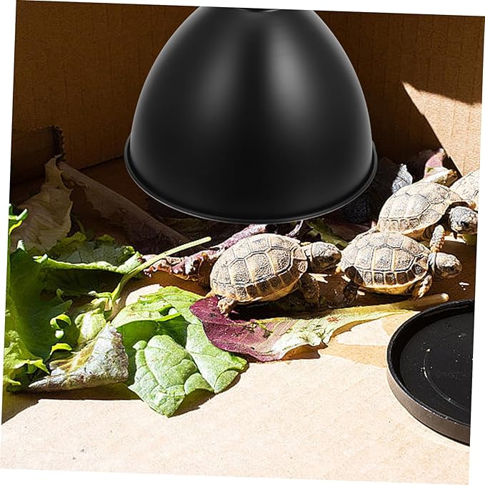 2pcs Box Reptile Heat Lamp Shade Easy Install Cover for Snake Tank Aquarium Heater Accessory Turtle Habitat