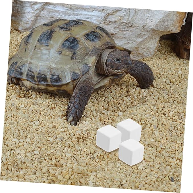 BESPORTBLE 12pcs Natural for Reptiles Durable Pet Accessory for Teeth Maintenance and Chewing Prevention for Lizard Crab and Frog Habitats
