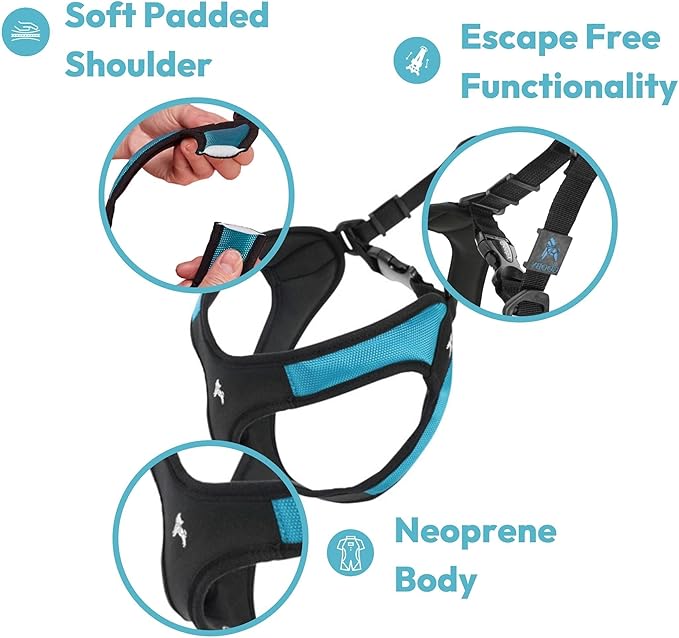 Gooby Escape Free Easy Fit Harness - Orange, X-Small - No Pull Step-in Patented Dog Harness with Quick Release Buckle - Perfect On The Go No Pull Harness for Small Dogs or Medium Dog Harness
